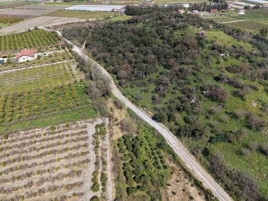 16.710 M² Granatapfelgarten Zum Verkauf Mit Seeblick In Eskiköy