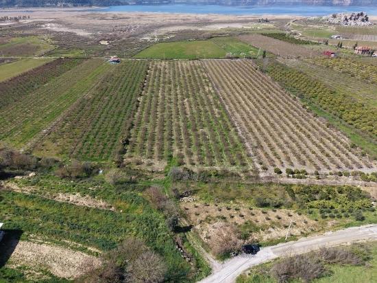 16.710 M² Granatapfelgarten Zum Verkauf Mit Seeblick In Eskiköy