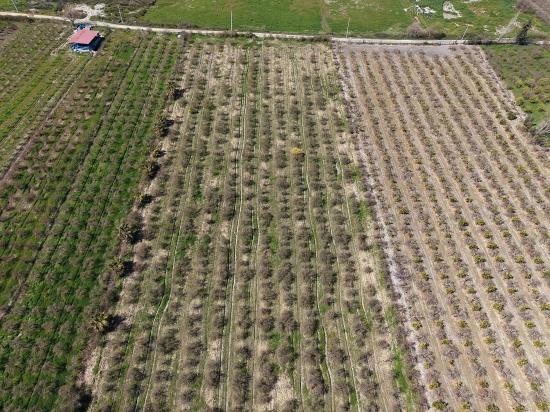 16.710 M² Granatapfelgarten Zum Verkauf Mit Seeblick In Eskiköy