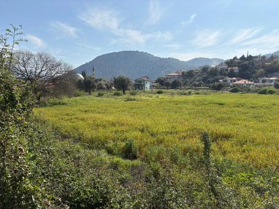 2.023 M² Großes Grundstück In Çandır Village, Köyceğiz, Zu Verkaufen, Mit Miteigentum Und Freiwilliger Aufteilung.