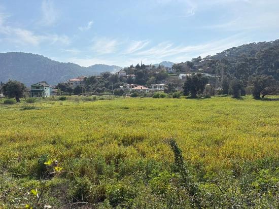 2.023 M² Großes Grundstück In Çandır Village, Köyceğiz, Zu Verkaufen, Mit Miteigentum Und Freiwilliger Aufteilung.