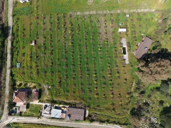 Tourismusorientiertes Unternehmen Auf Einem 11.000 M² Großen Grundstück In Eskiköy Zu Verkaufen.