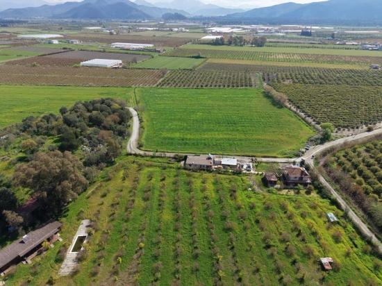 Tourismusorientiertes Unternehmen Auf Einem 11.000 M² Großen Grundstück In Eskiköy Zu Verkaufen.