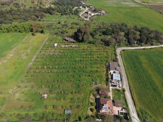 Tourismusorientiertes Unternehmen Auf Einem 11.000 M² Großen Grundstück In Eskiköy Zu Verkaufen.