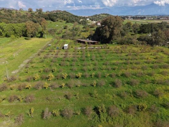 Tourismusorientiertes Unternehmen Auf Einem 11.000 M² Großen Grundstück In Eskiköy Zu Verkaufen.