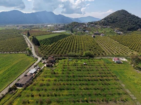 Tourismusorientiertes Unternehmen Auf Einem 11.000 M² Großen Grundstück In Eskiköy Zu Verkaufen.