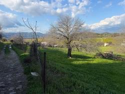 Feld Zu verkaufen in Dalyan Bz. Ortaca - Feld-Zonierung - 11.230 m²