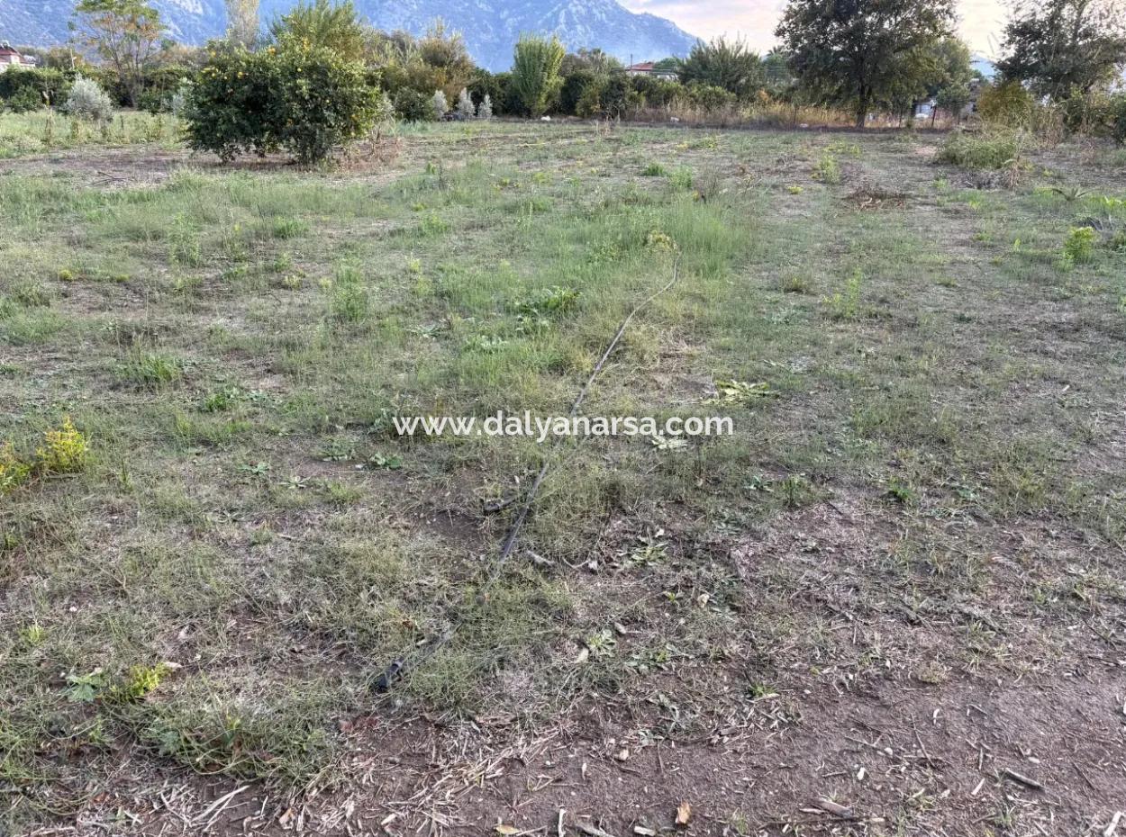 7.450M2 Land Zum Verkauf In Der Nähe Des Zentrums Von Dalyan