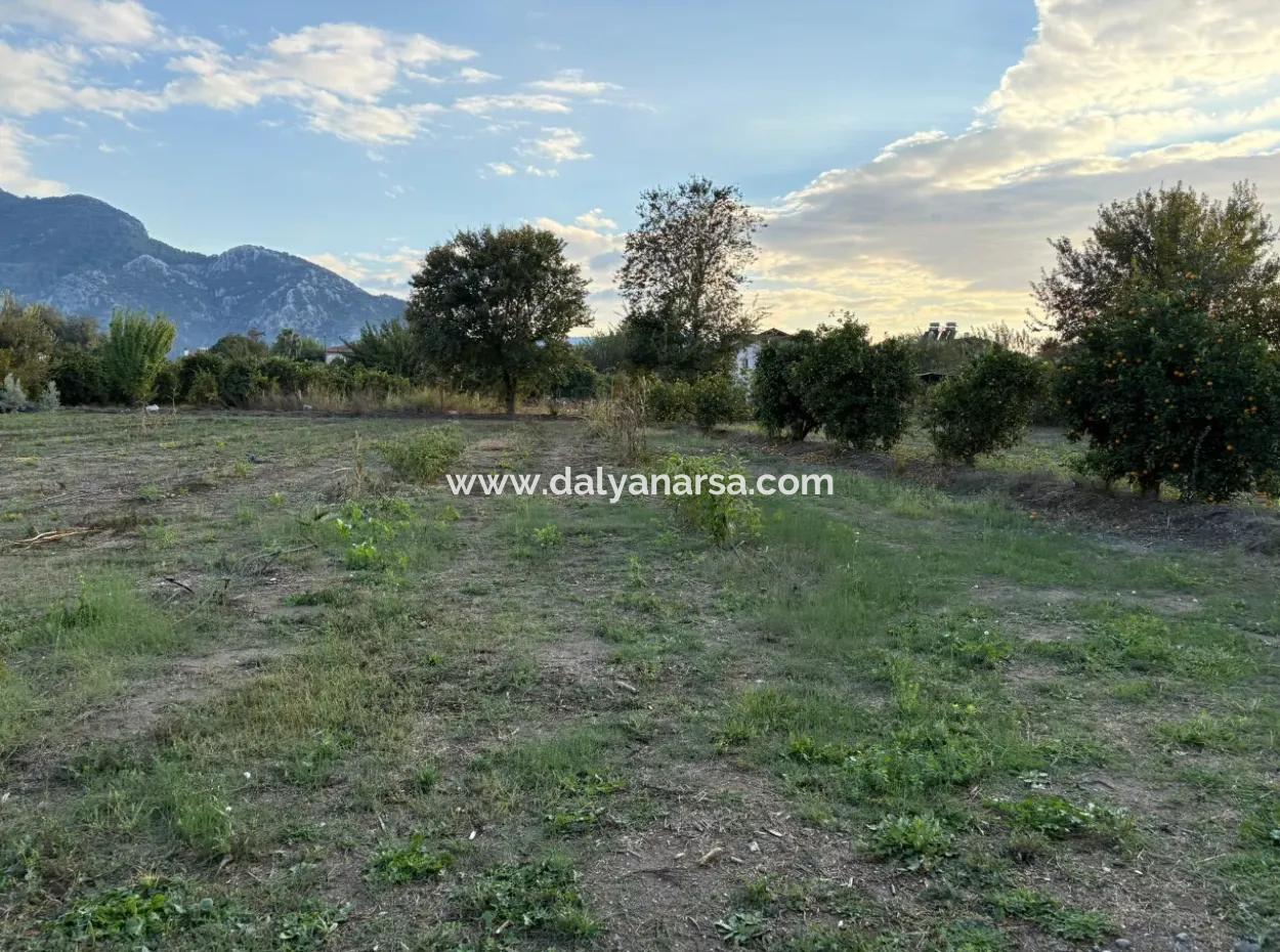 7.450M2 Land Zum Verkauf In Der Nähe Des Zentrums Von Dalyan