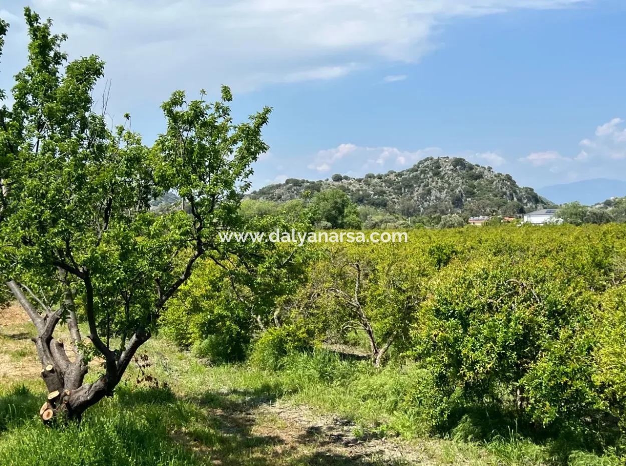 5.100 M2 Land Zum Verkauf In Der Gegend Von Dalyan Maraş Mit 5% Wohnzone