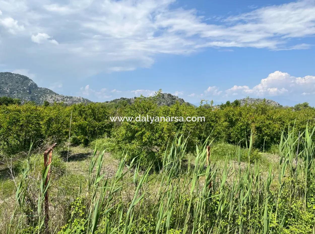 5.100 M2 Land Zum Verkauf In Der Gegend Von Dalyan Maraş Mit 5% Wohnzone