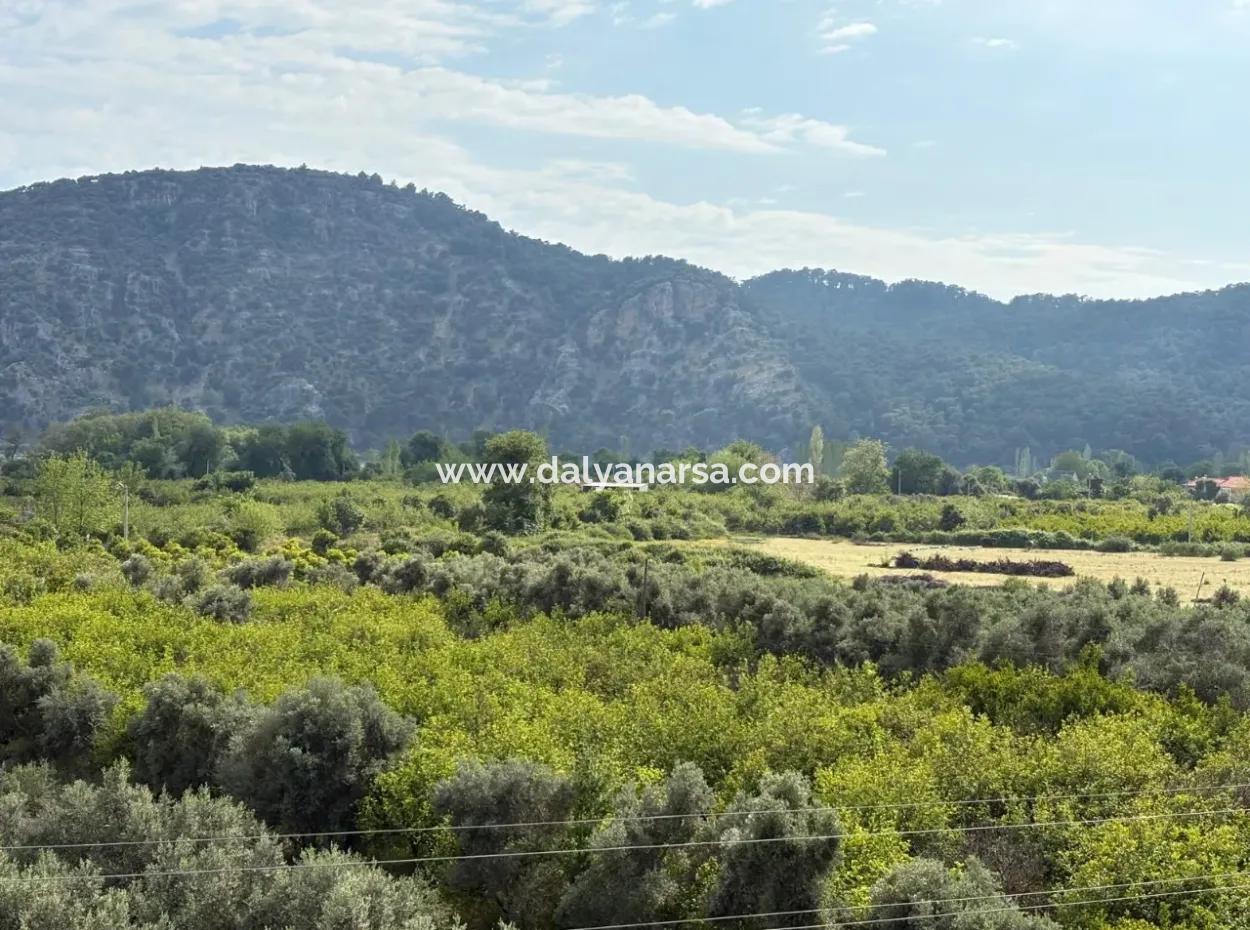 1.721M2 Grundstück Zum Verkauf Im Dorf Çandır Mit Meer- Und Seeblick