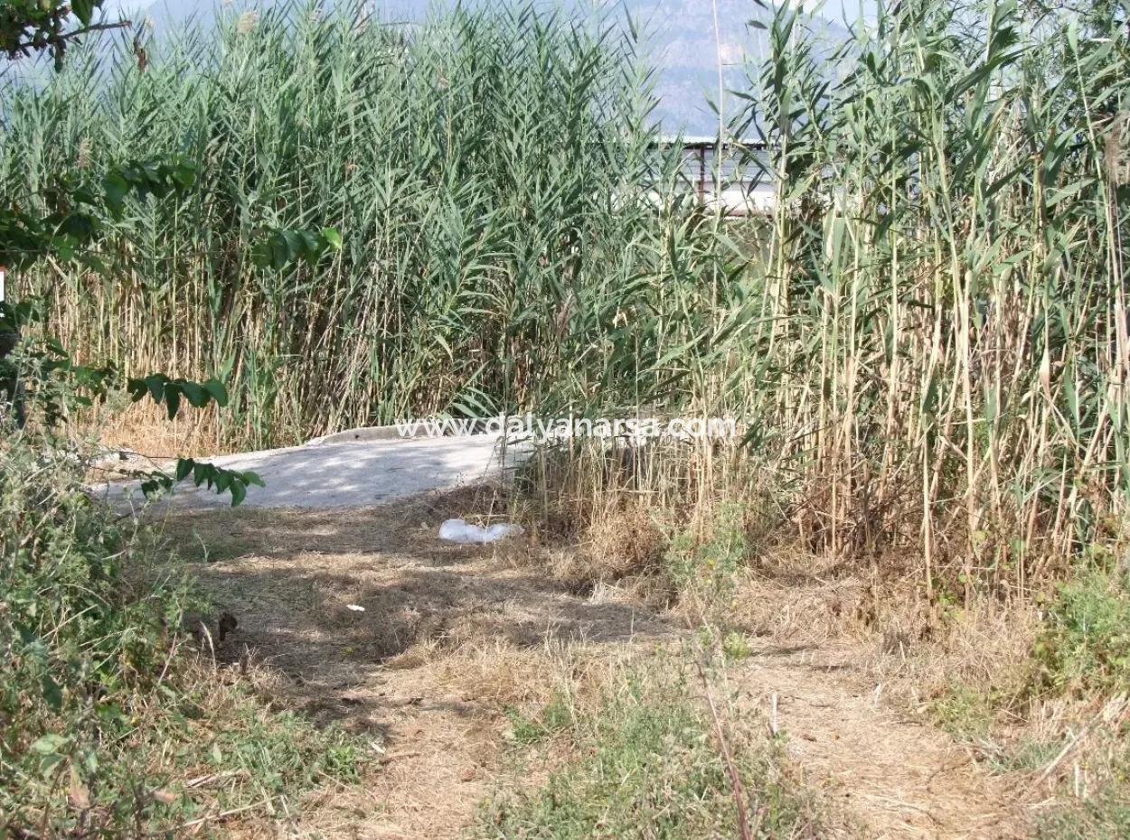 Bauernhof Zum Verkauf In Dalyan Eskikoy Eskikoy Oriya 14,900M2 Grundstück Zu Verkaufen Feld