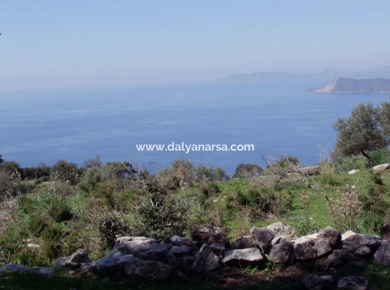 Für Den Verkauf In Faralya Faralya Mit Meerblick Und 11,286M2 Grundstück Zum Verkauf Tourismus