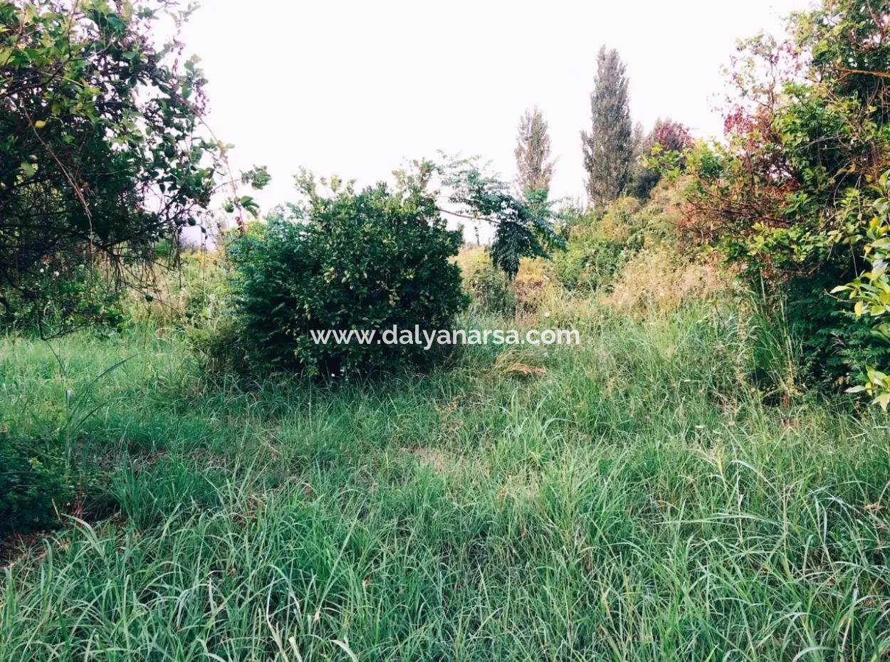 Archer In Die Bogenschützen Grundstück Zum Verkauf Zum Verkauf In Marmarli 1,500M2 Grundstück Zum Verkauf