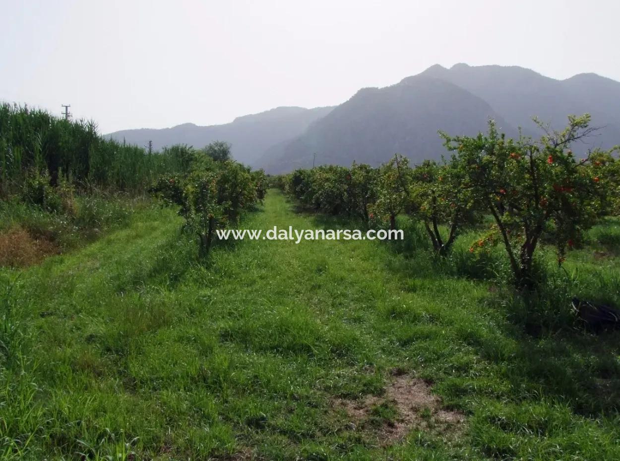 Merkez Dalyan Iztuzu See-Garten-Villa Zum Verkauf