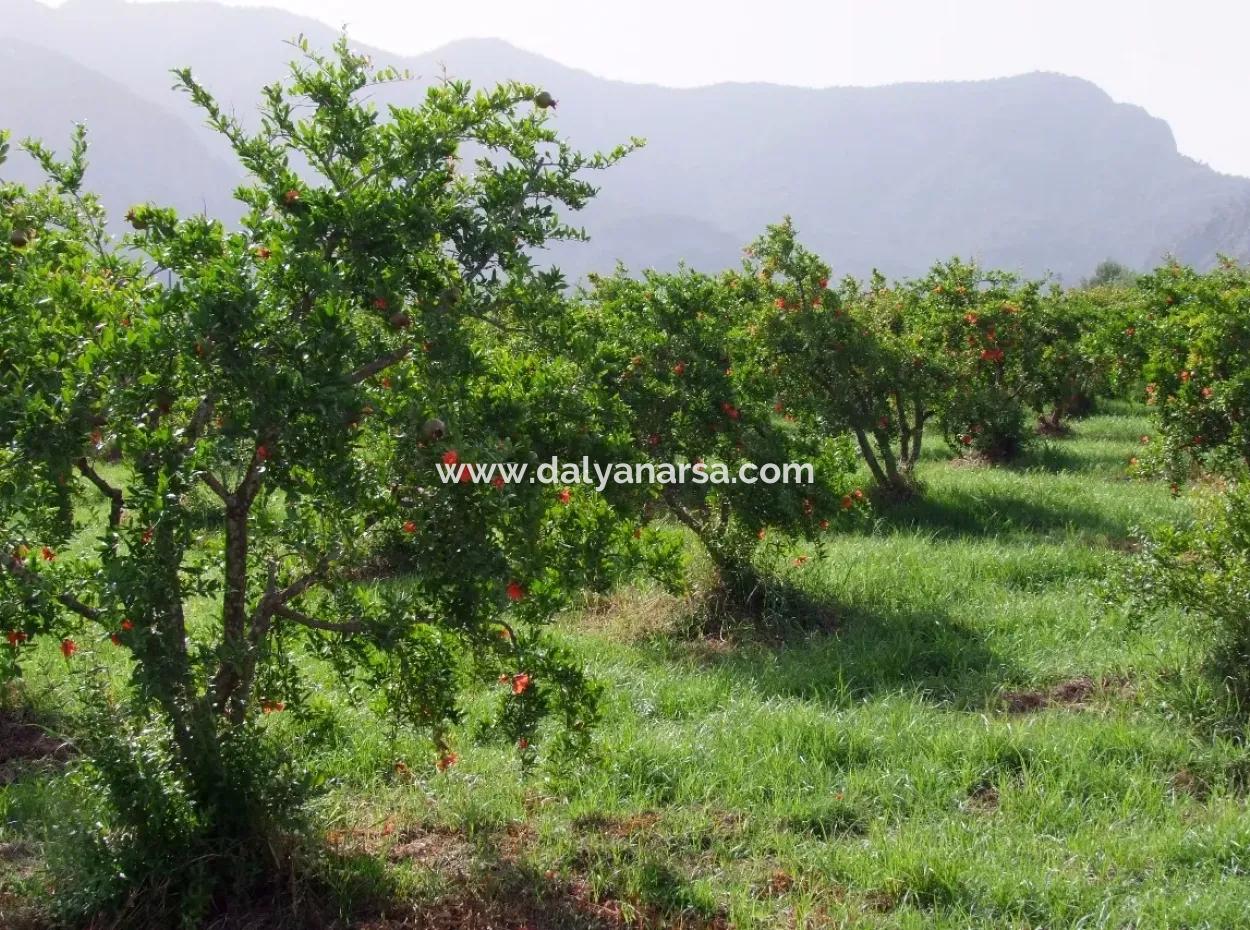 Merkez Dalyan Iztuzu See-Garten-Villa Zum Verkauf