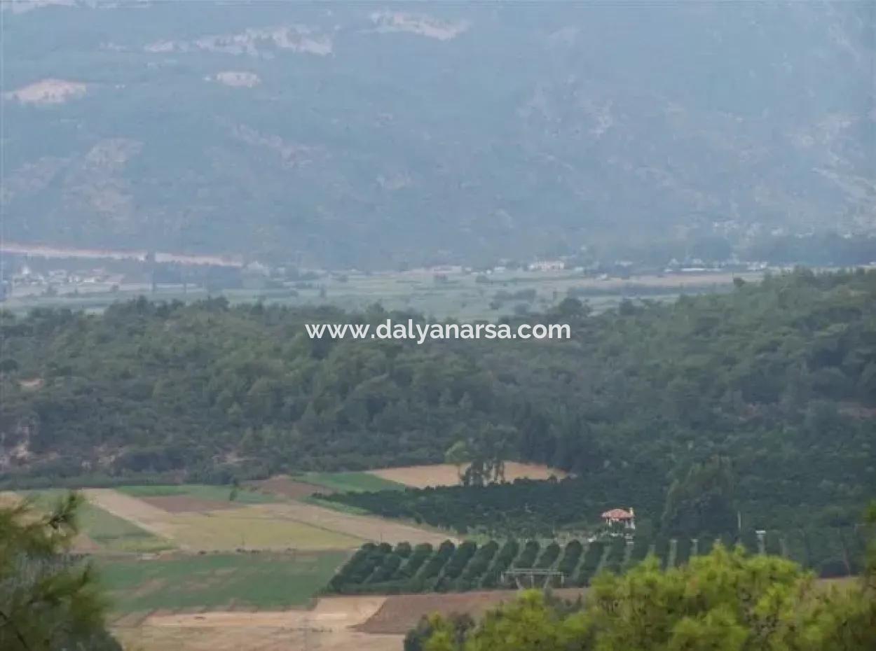 Gökçe Gökçe 21671M2 Bauernhof Zum Verkauf Zum Verkauf