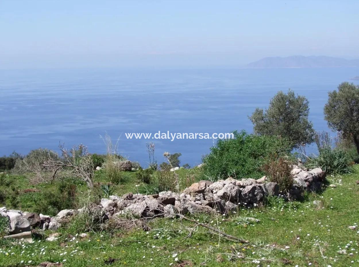 Land Zum Verkauf In Faralya Mit Vollem Meerblick Zum Verkauf