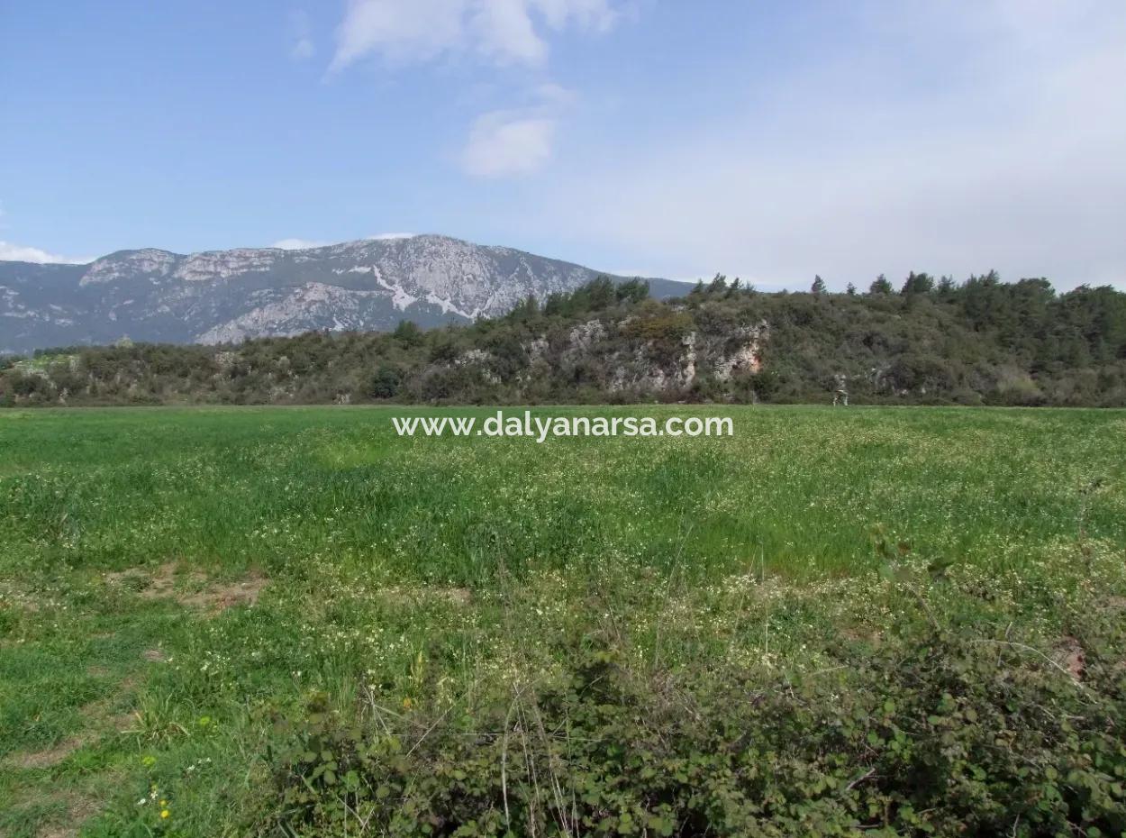 In Akyaka Zum Verkauf: Grundstück Zum Verkauf Bauernhof Zum Verkauf Einer Farm In Der Nähe Vom Meer, In Ars, Yatirimlik 21625M2