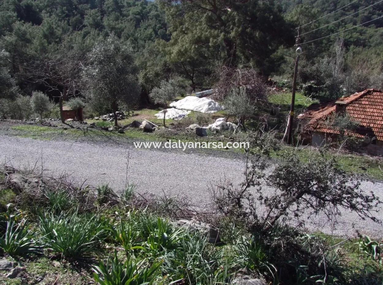 Landwirtschaftliche Grundstück Zum Verkauf Mit Meerblick Zum Verkauf In Gokbel