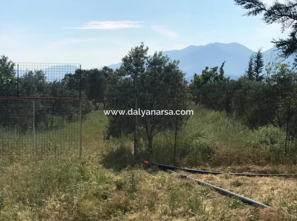 Ackerland Zum Verkauf In Seydikemer Korubuku 76000M2
