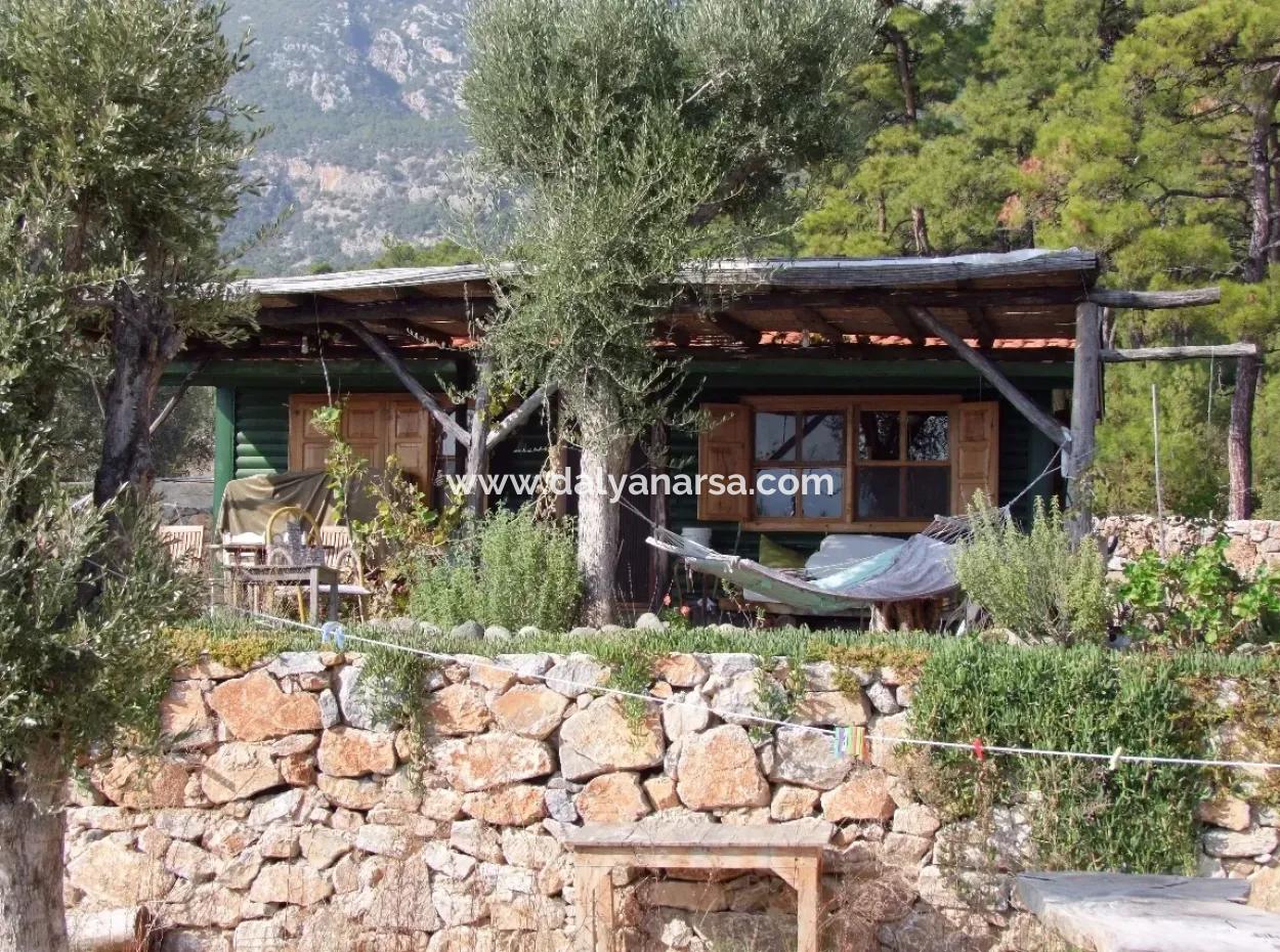 Beachfront Bungalow Zum Verkauf In Akbuk, Die Durch Das Meer Auf Einem Grundstück Von 800M2-Villa Zum Verkauf Turnalı