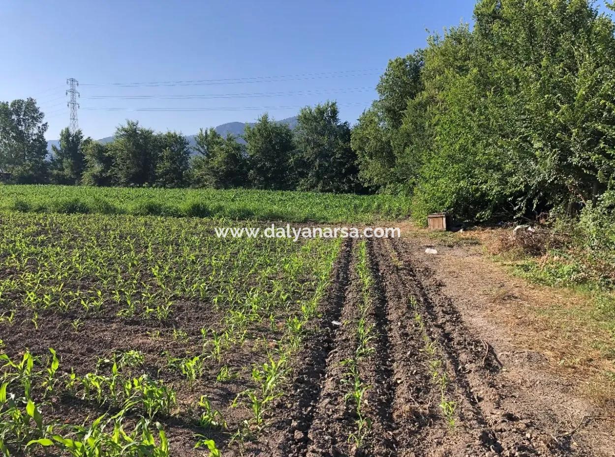 2200M2 Grundstück Zum Verkauf In Dalyan Zum Verkauf In Dalyan