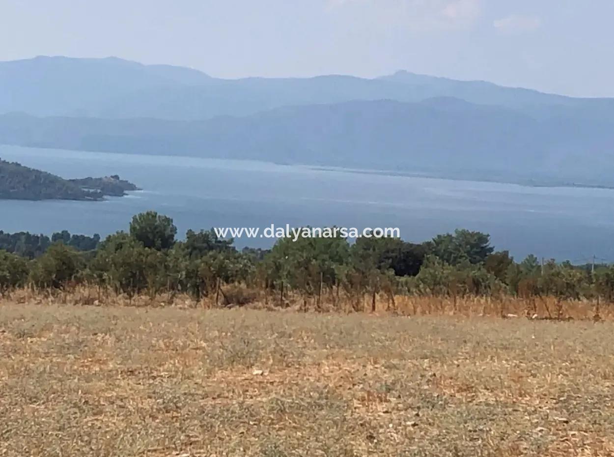 11.227M2 Grundstück Zum Verkauf Mit Seeblick In Köyceğiz Zeytinalan