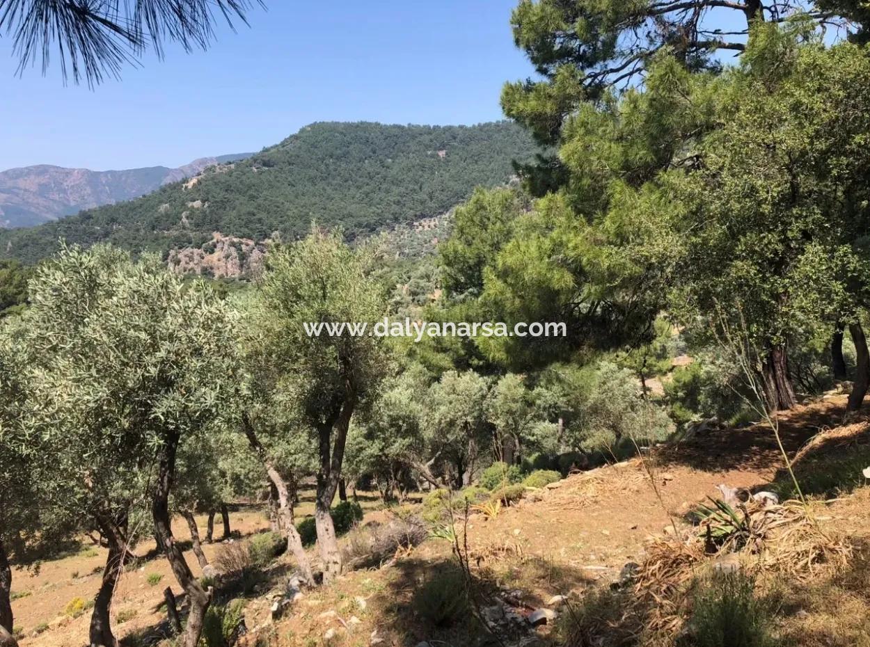 7034M2 Feld Zum Verkauf Mit Meerblick In Çandir