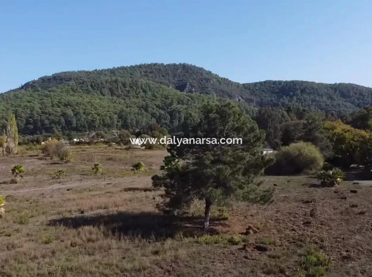 Land Zum Verkauf In 'Aml'da Marmaris 'Aml'da Meerblick 11720M2 Land Zu Verkaufen