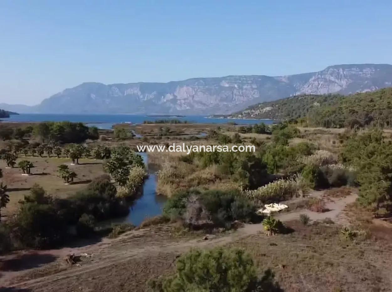 Land Zum Verkauf In 'Aml'da Marmaris 'Aml'da Meerblick 11720M2 Land Zu Verkaufen