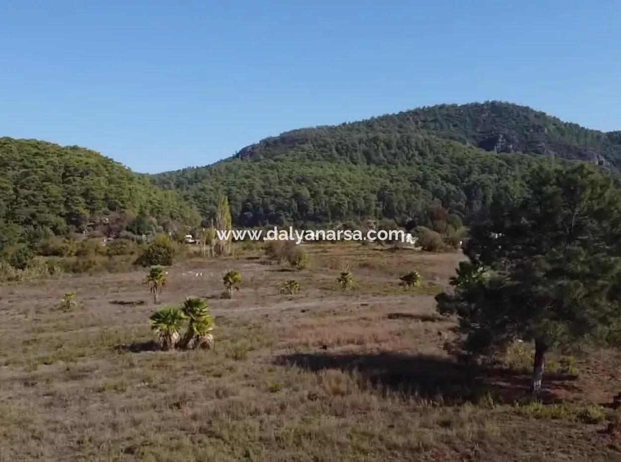 Land Zum Verkauf In 'Aml'da Marmaris 'Aml'da Meerblick 11720M2 Land Zu Verkaufen