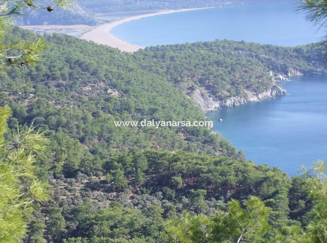 Immobilien-Schnäppchen-Grundstück Zu Verkaufen Mit Meerblick In Çandır Anruf In Ekincik