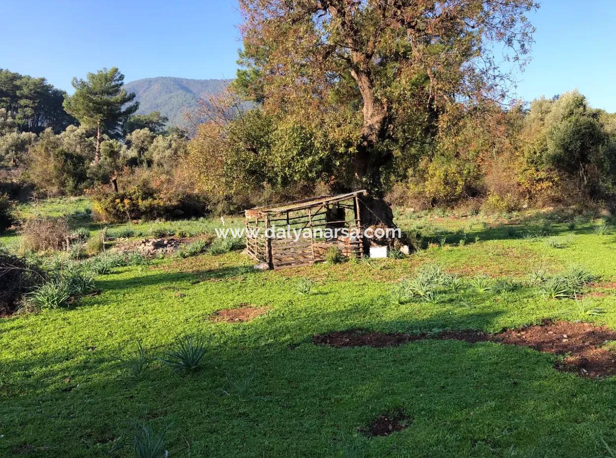 Ekincik Land Zu Verkaufen 10.038M2 Land Zum Verkauf Feld