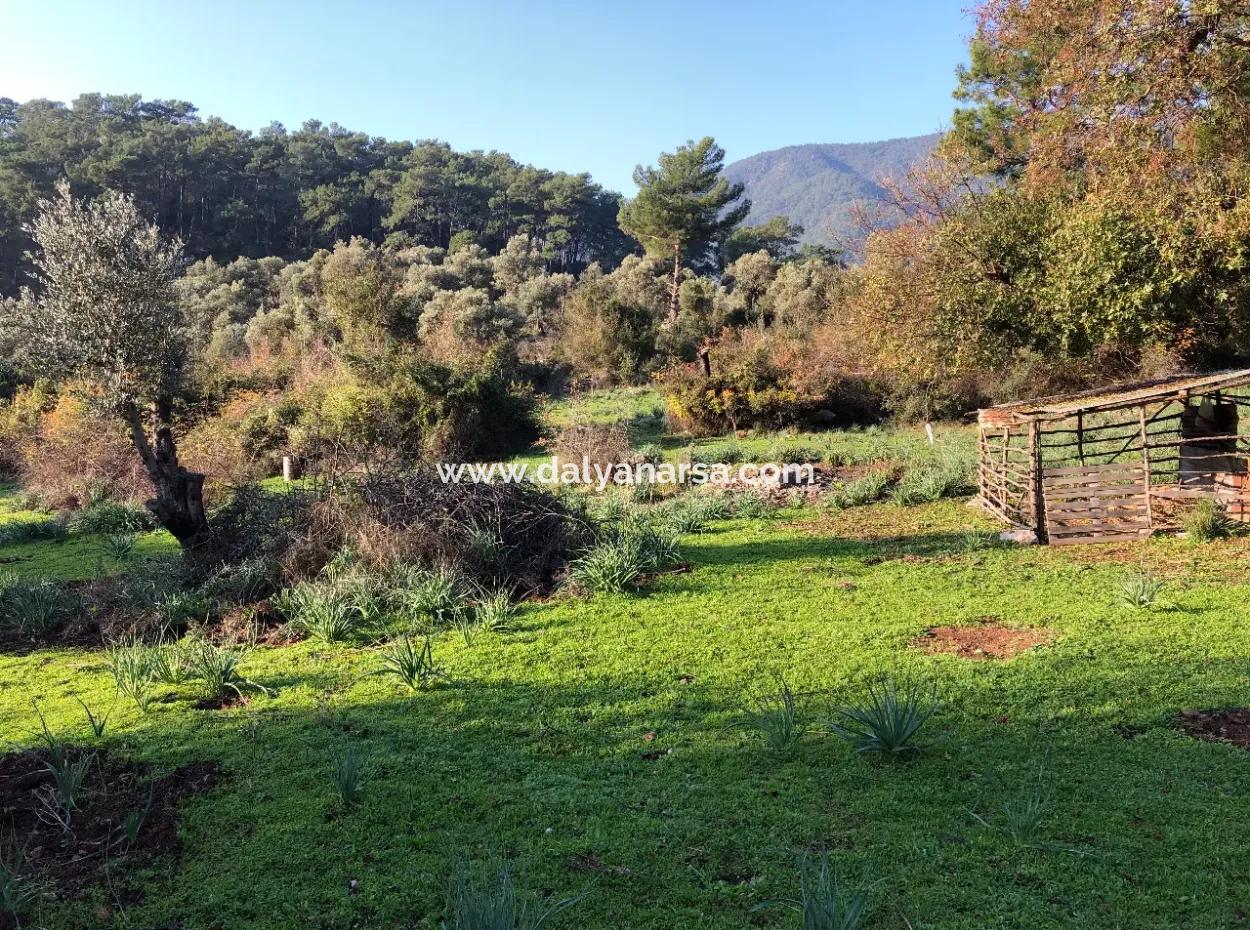 Ekincik Land Zu Verkaufen 10.038M2 Land Zum Verkauf Feld