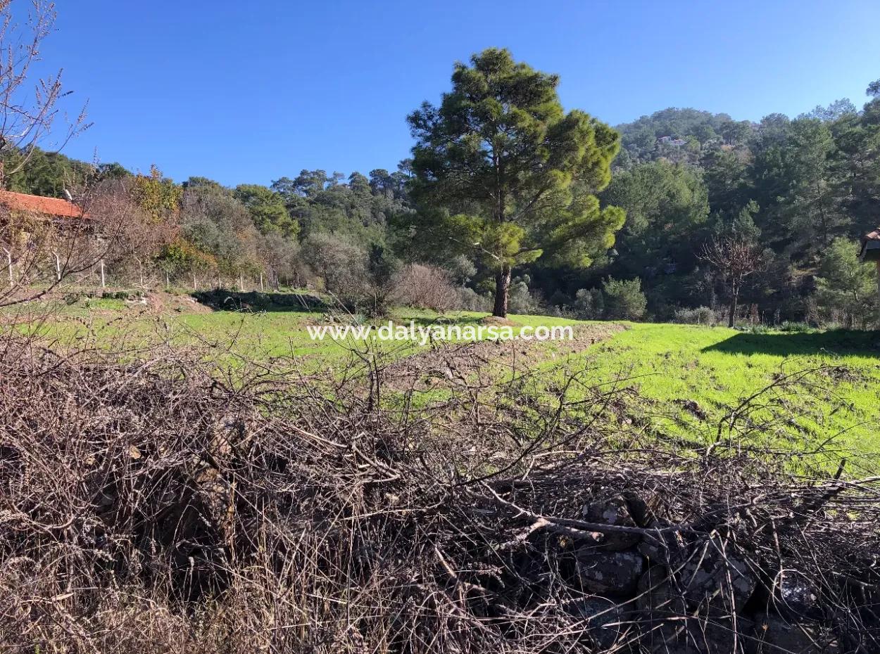 Gokbel Land Zu Verkaufen 8000M2 Land Zum Verkauf Mit Voller Meerblick