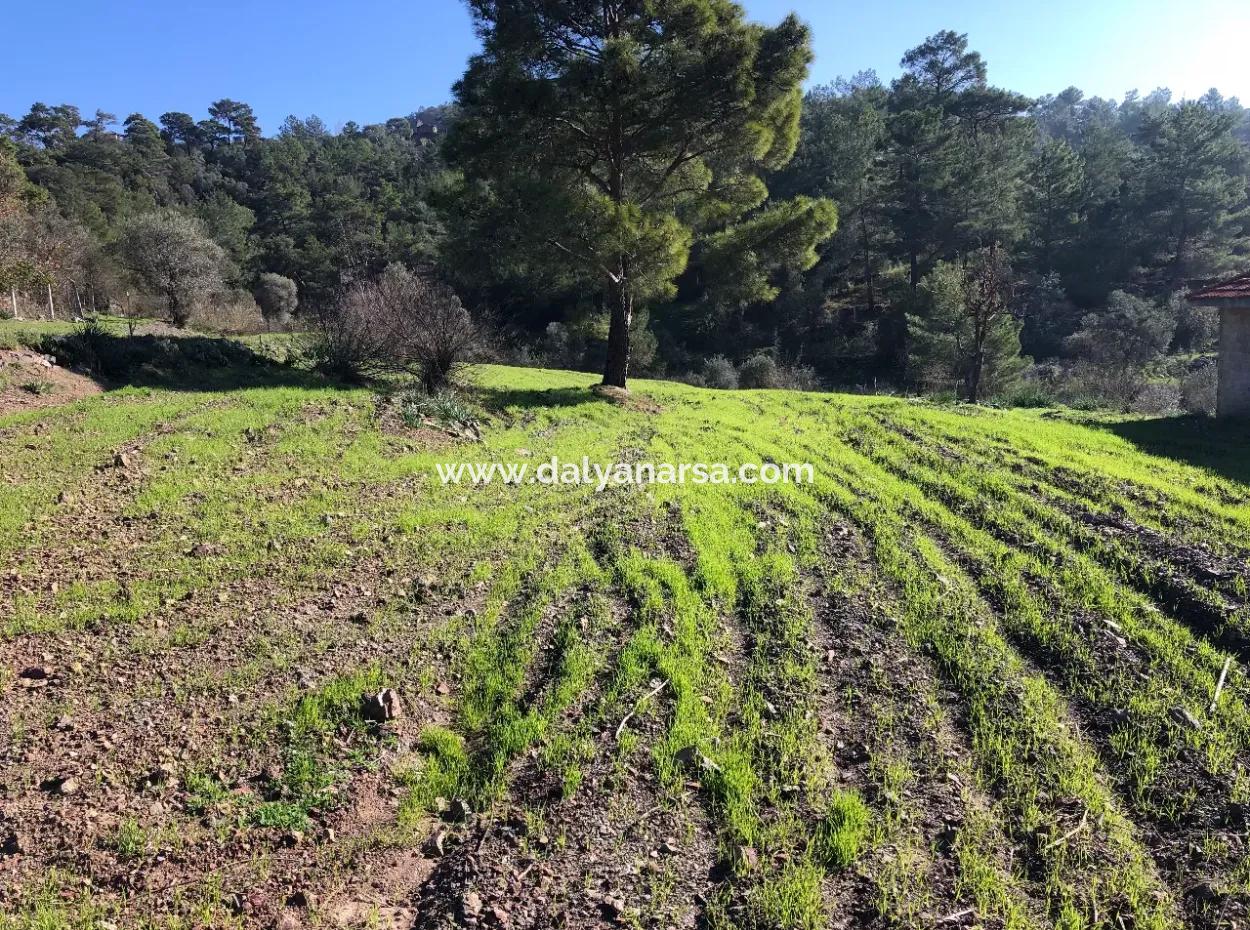 Gokbel Land Zu Verkaufen 8000M2 Land Zum Verkauf Mit Voller Meerblick