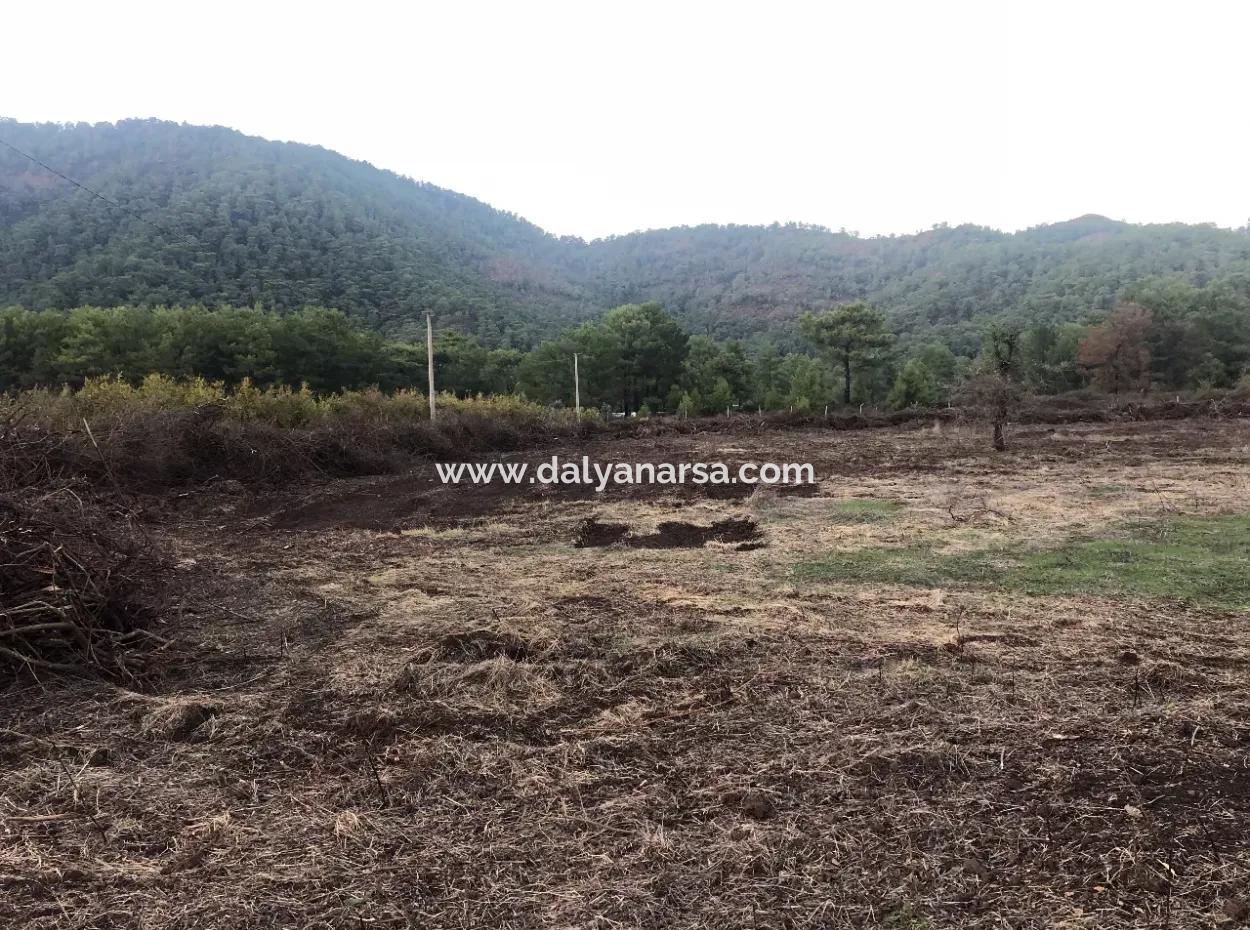 Sultaniye Land For Sale Near 10577M2 Lake Land For Sale