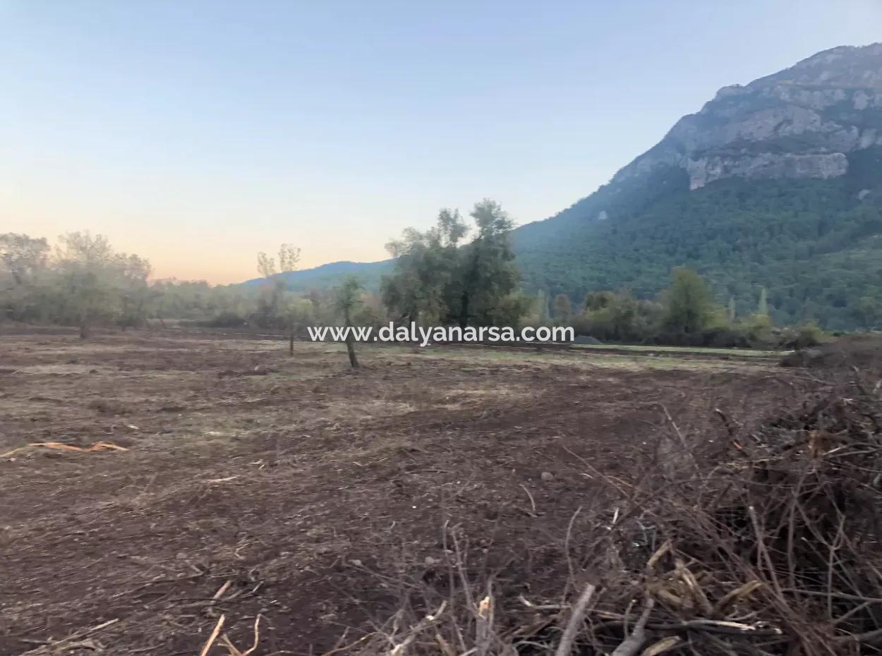 Sultaniye Land For Sale Near 10577M2 Lake Land For Sale
