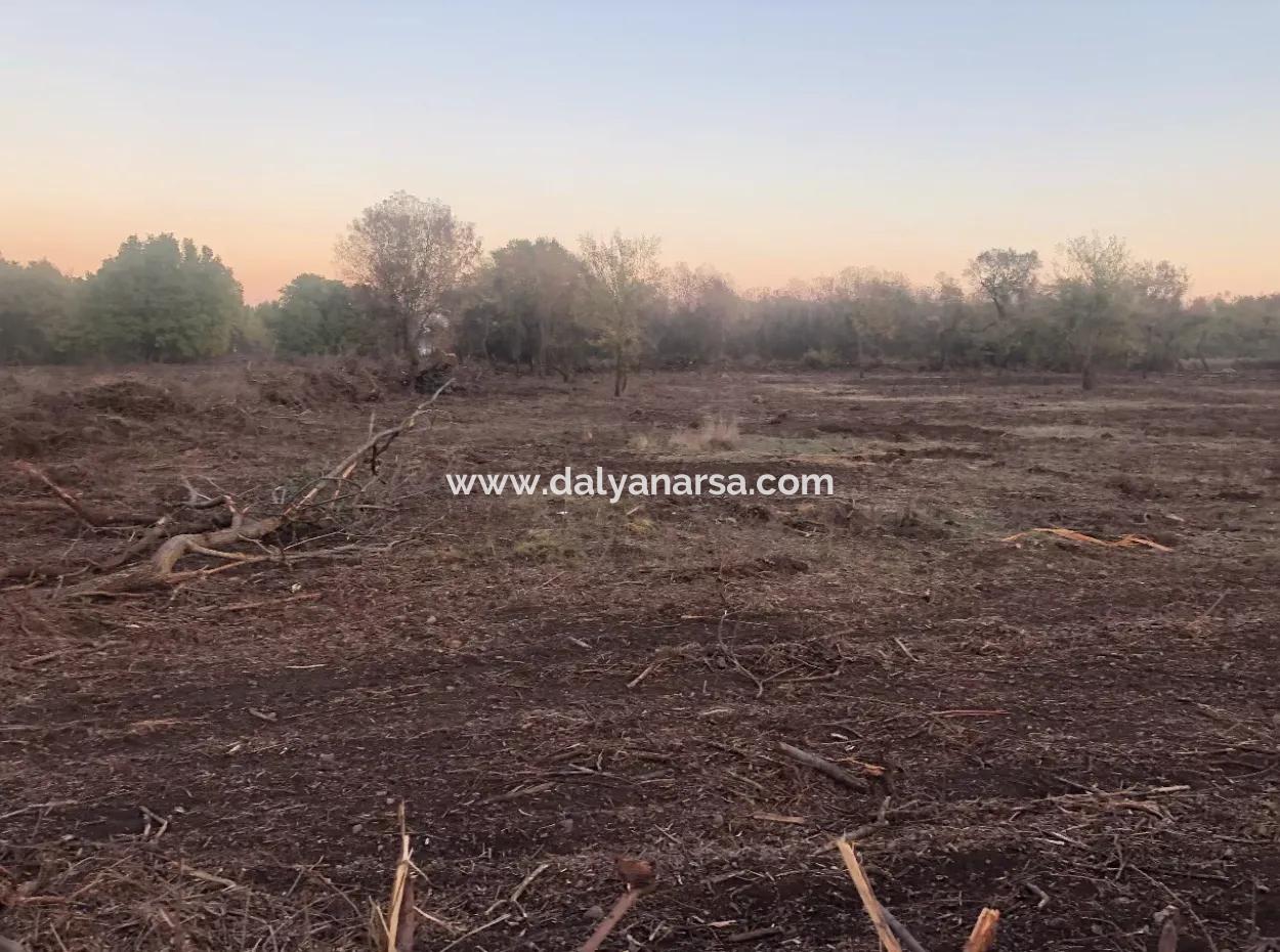 Sultaniye Land For Sale Near 10577M2 Lake Land For Sale