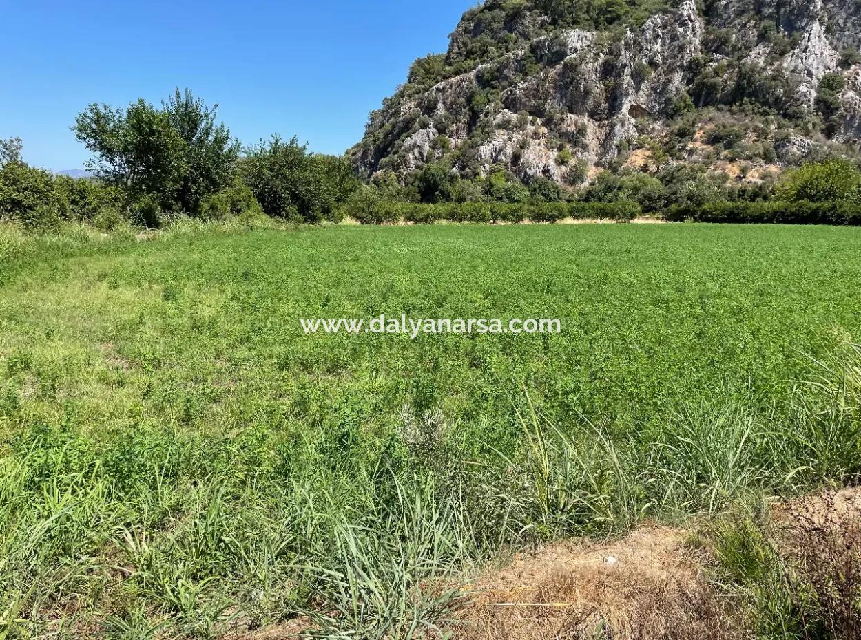Okçular Land Zum Verkauf In Marmarlı 6500M2