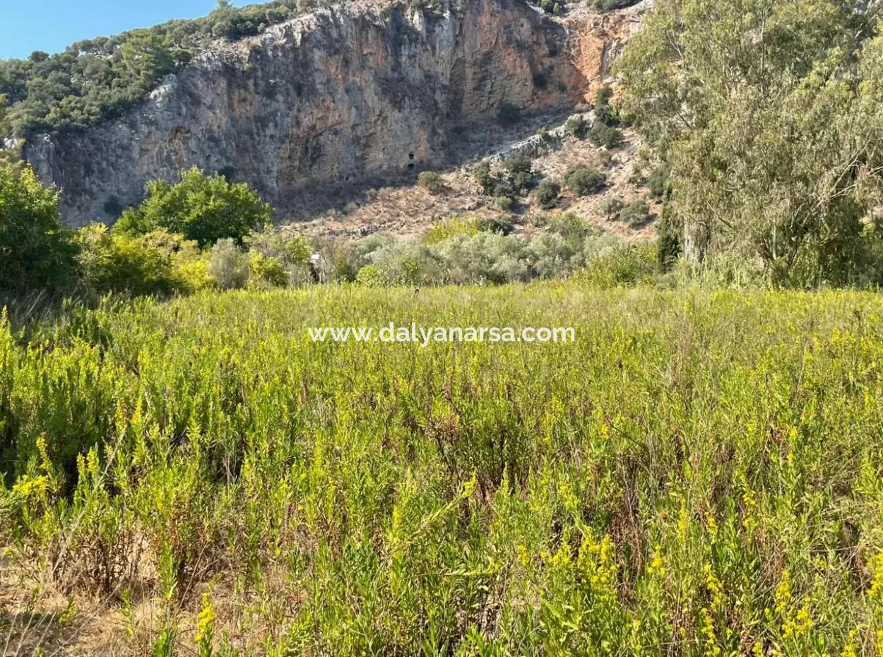 Çandır Kanal Front 2765M2 Einfamilienhaus Zu Verkaufen