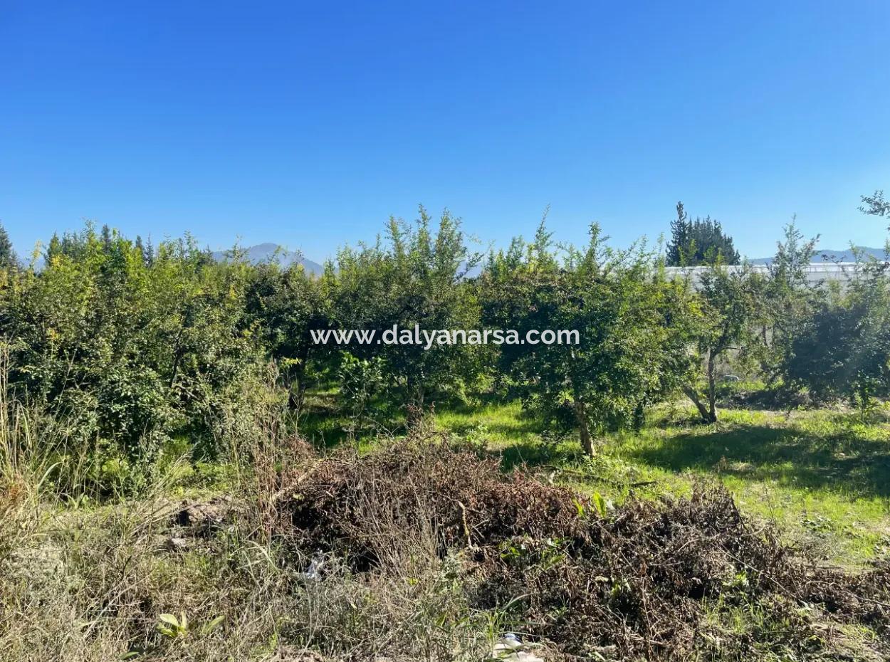 2223M2 Felder Zum Verkauf In Dalyan