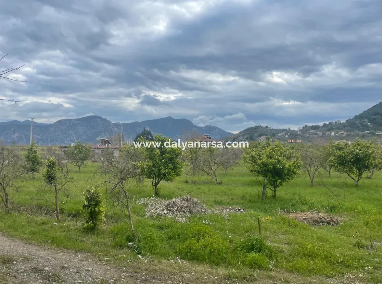 Dalyan Boutique Hotel Zum Verkauf Bungolevler Zum Verkauf In 11.000M2 Grundstück