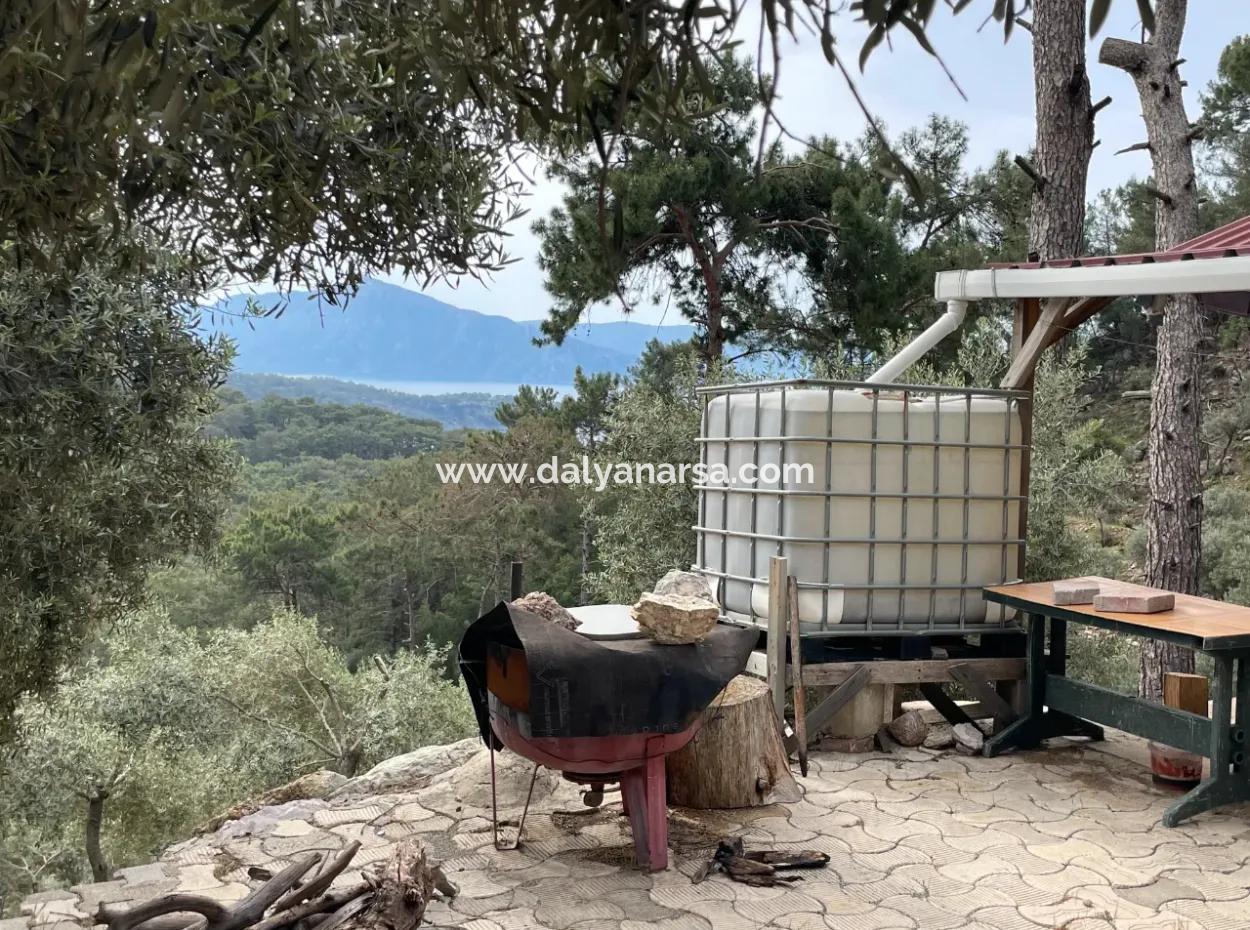 Olivenhaus Mit Meerblick In Ekincik Steht Zum Verkauf