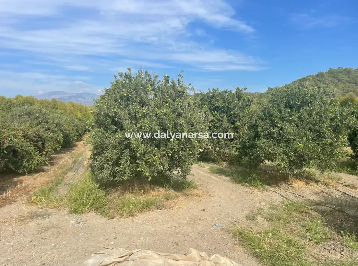 4000M2 Land Zum Verkauf In Bebautem Gebiet In Tepearasin