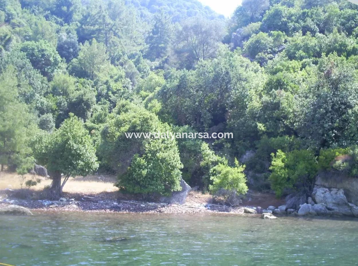 Marmaris Island Dorf Am Meer 4000M2 Land Zum Verkauf Marmaris Schnäppchen Land Zum Verkauf Auf Dem Seeweg