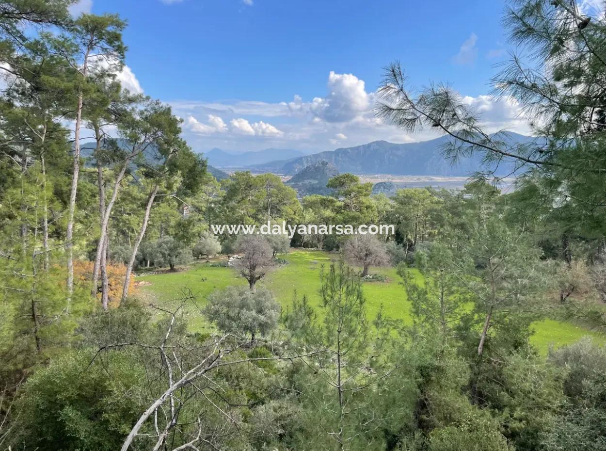 10.707M2 2B Feld Zu Verkaufen Mit Meerblick See In Çandır