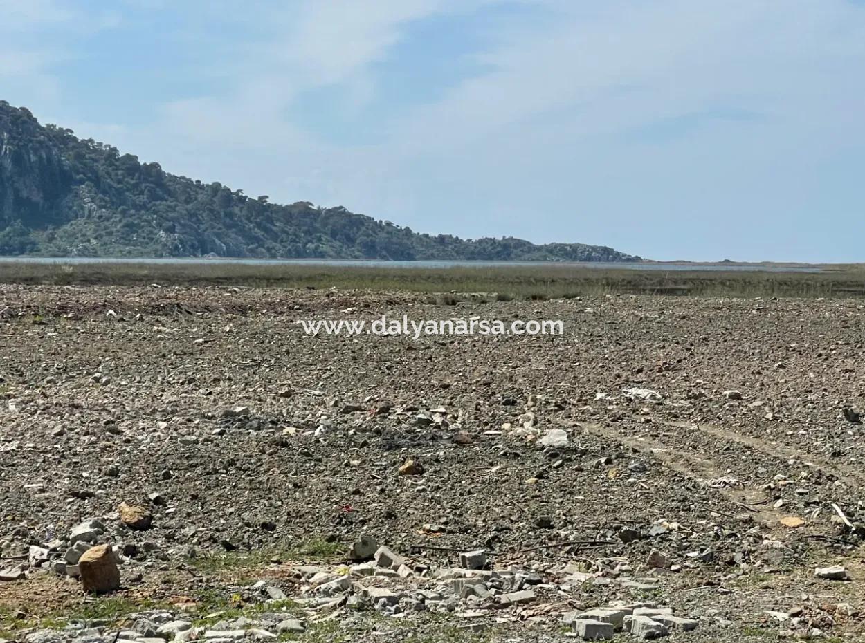 Dalyan Iztuzu Strand Straße Null 19.600M2 Feld Land Zum Verkauf